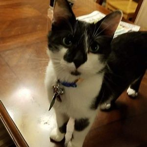 Meet your Posher, Megan